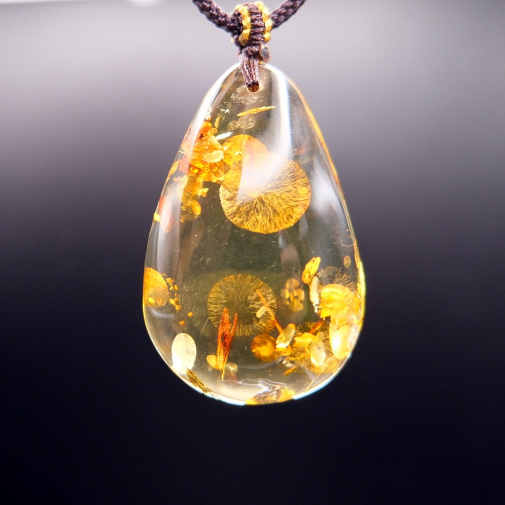 Pendant: golden Baltic amber teardrop with round botanical inclusions, dark cord, hanging against a dark background